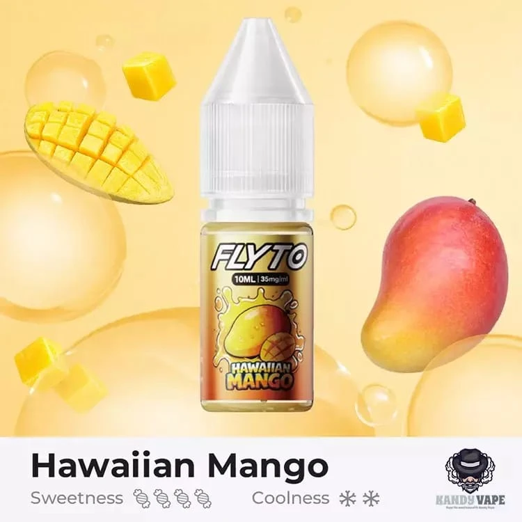 FLY TO Iced Menthol Salt Nicotine E-Liquid - 10ml (35mg/ml) - smoke juice Price in Bangladesh - Likzomart