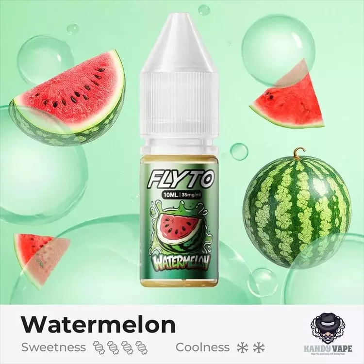 FLY TO Iced Menthol Salt Nicotine E-Liquid - 10ml (35mg/ml) - smoke juice Price in Bangladesh - Likzomart